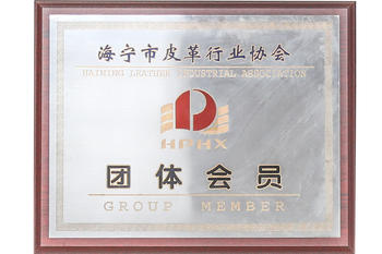 Group member of Haining Leather Industry Association